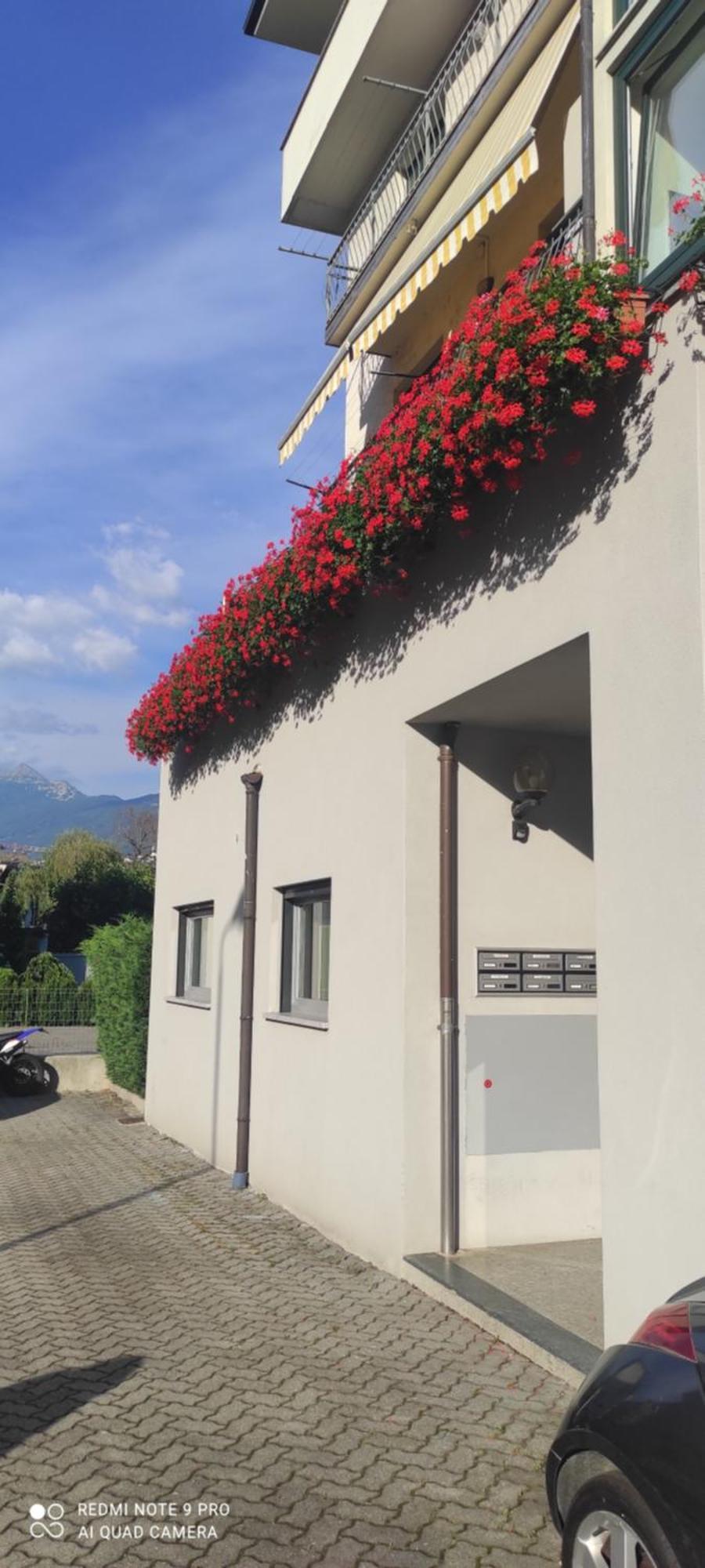 Casa Lina Tirano Appartement Buitenkant foto